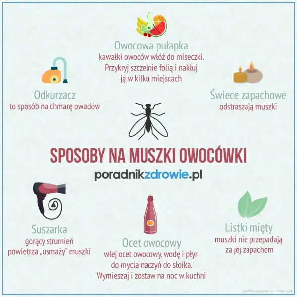Skuteczne sposoby na pozbycie się muszek owocówek w kuchni